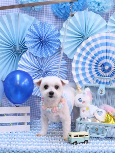 20231102うららちゃん